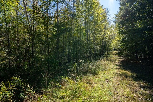 00 Beaver Dam Rd, Beaverdam, VA 23015
