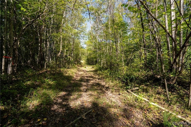 00 Beaver Dam Rd, Beaverdam, VA 23015 - photo 27