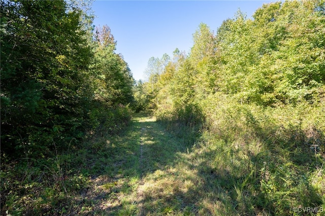 00 Beaver Dam Rd, Beaverdam, VA 23015 - photo 28