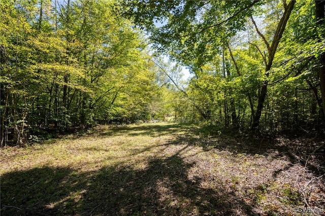 00 Beaver Dam Rd, Beaverdam, VA 23015