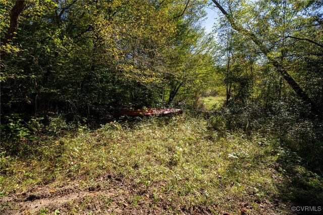 00 Beaver Dam Rd, Beaverdam, VA 23015