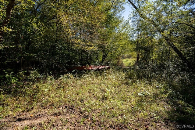 00 Beaver Dam Rd, Beaverdam, VA 23015 - photo 30
