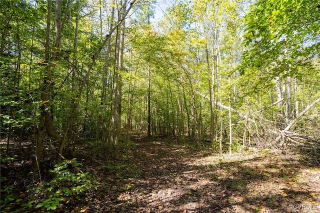 00 Beaver Dam Rd, Beaverdam, VA 23015 - photo 13
