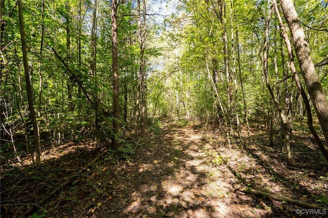 00 Beaver Dam Rd, Beaverdam, VA 23015 - photo 5