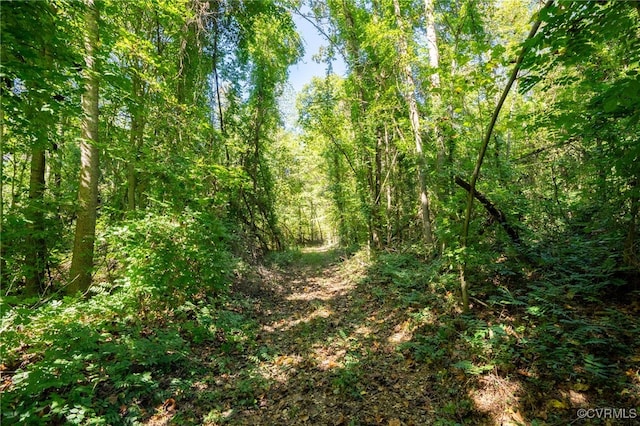 00 Beaver Dam Rd, Beaverdam, VA 23015