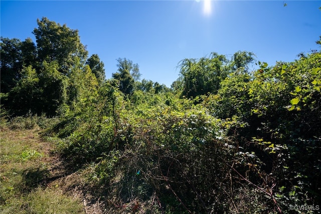 00 Beaver Dam Rd, Beaverdam, VA 23015 - photo 15