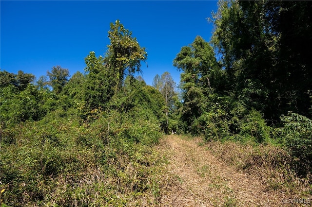 00 Beaver Dam Rd, Beaverdam, VA 23015 - photo 4