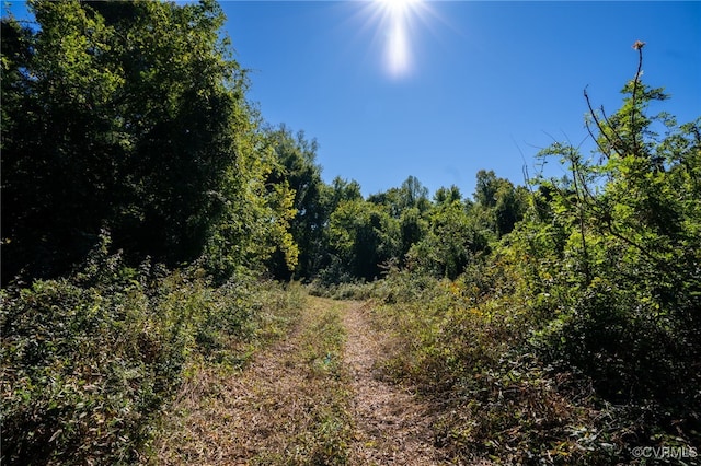 00 Beaver Dam Rd, Beaverdam, VA 23015 - photo 16