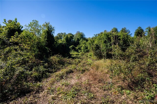 00 Beaver Dam Rd, Beaverdam, VA 23015