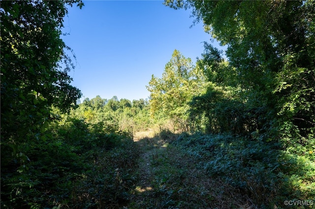 00 Beaver Dam Rd, Beaverdam, VA 23015 - photo 18