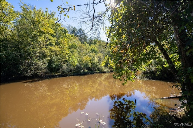 00 Beaver Dam Rd, Beaverdam, VA 23015 - photo 19