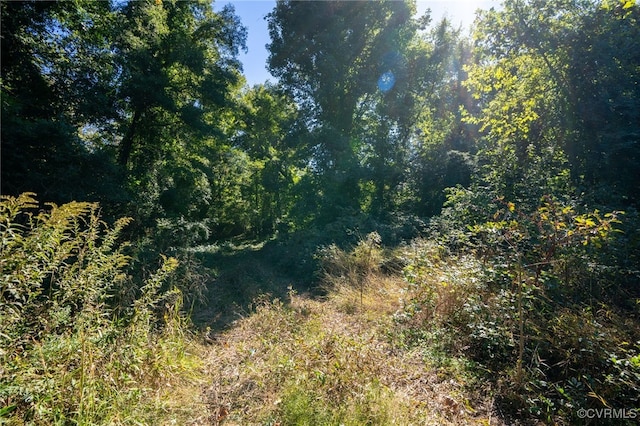 00 Beaver Dam Rd, Beaverdam, VA 23015 - photo 22