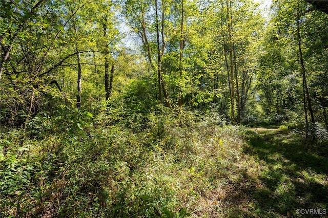 00 Beaver Dam Rd, Beaverdam, VA 23015