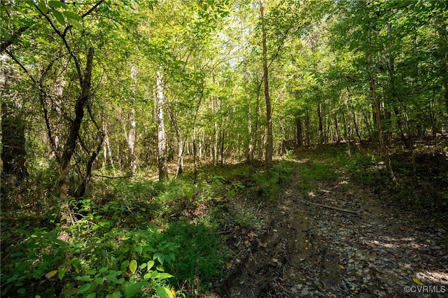 00 Beaver Dam Rd, Beaverdam, VA 23015 - photo 11