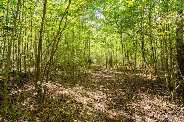 00 Beaver Dam Rd, Beaverdam, VA 23015 - photo 3