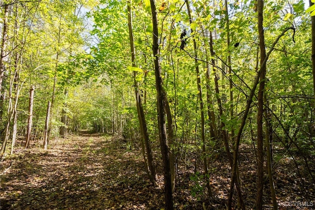00 Beaver Dam Rd, Beaverdam, VA 23015