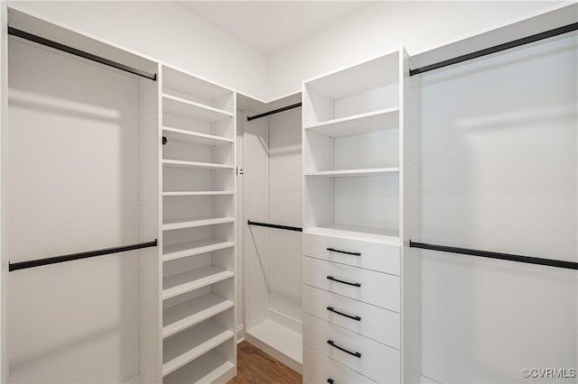 spacious closet with hardwood / wood-style floors