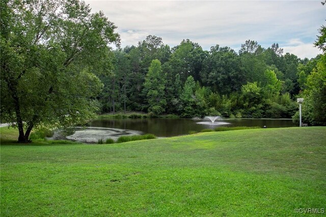 4048 Broad Street Rd, Gum Spring, VA 23065 - view of grassy yard with a water view and a forest view