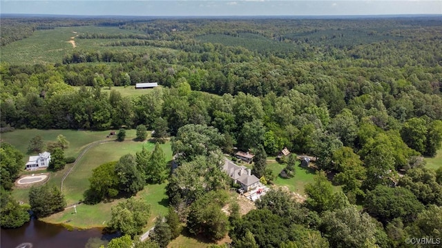 4048 Broad Street Rd, Gum Spring, VA 23065 - aerial view of property's location with a heavily wooded area and a large body of water