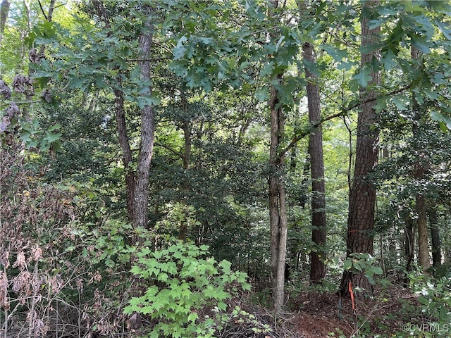 00 Fairway Ct, Bracey VA, 23919 land for sale