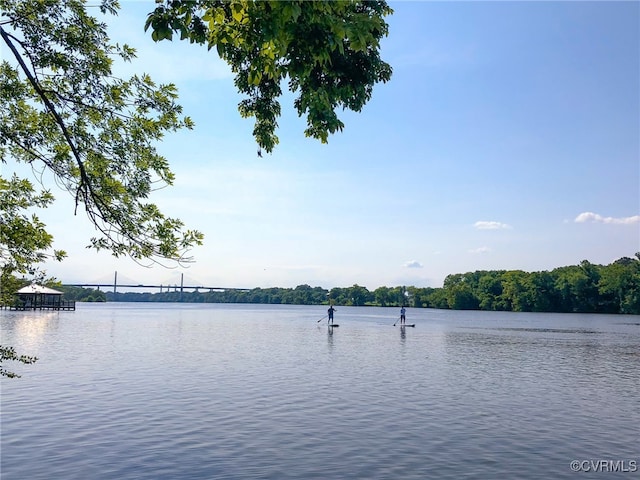 property view of water