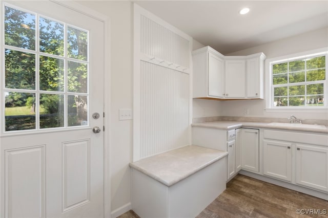 interior space with white cabinets, a wealth of natural light, and sink