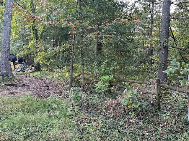 view of local wilderness featuring a wooded view