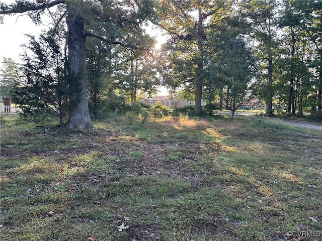 view of yard
