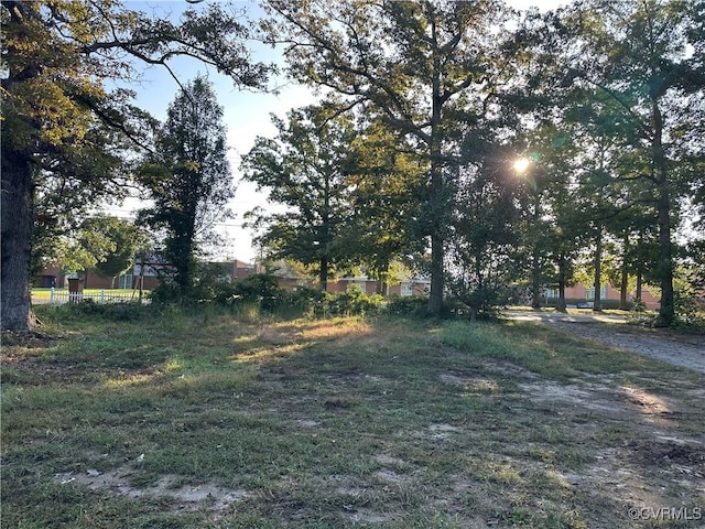 view of yard
