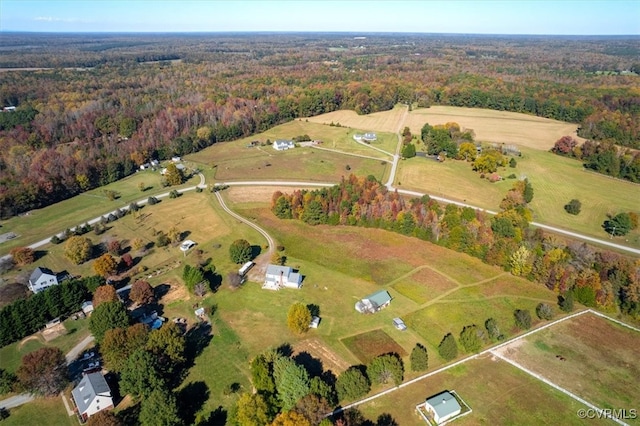 bird's eye view