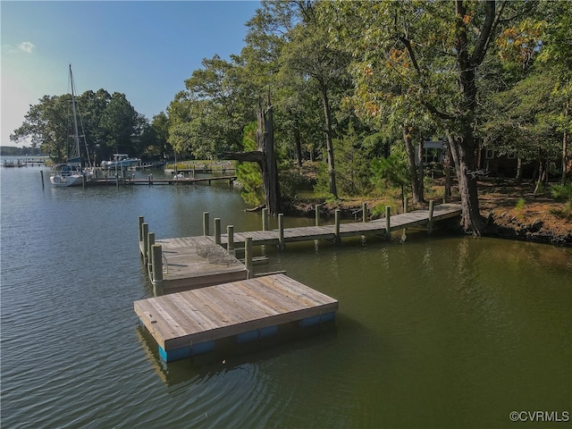 dock area with a water view