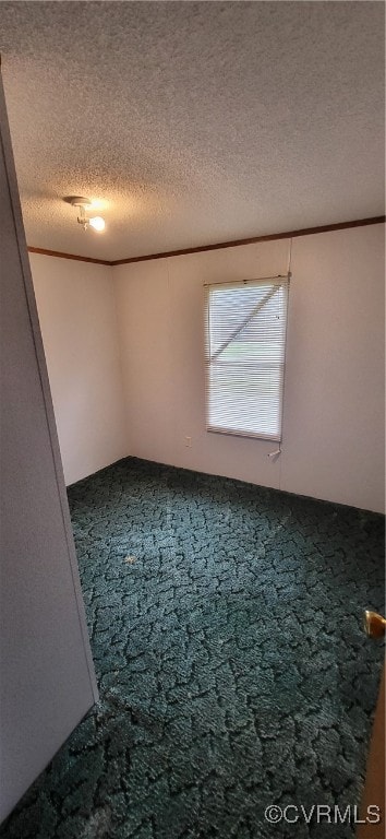 spare room featuring carpet floors and a textured ceiling