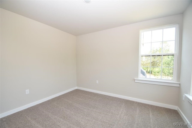 spare room with carpet