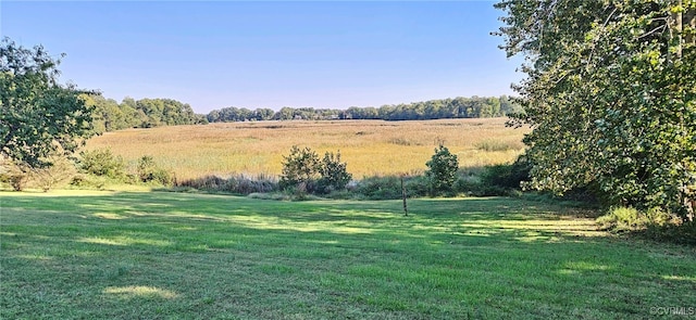 view of yard with a rural view