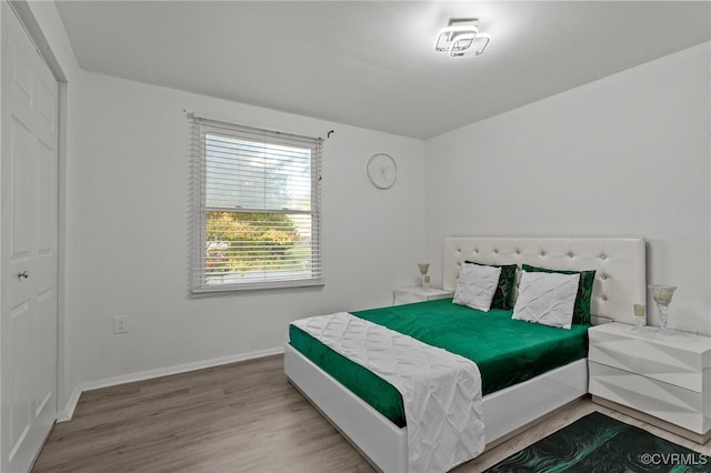 bedroom featuring wood-type flooring and a closet