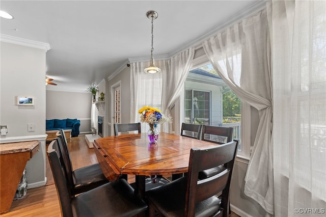 dining space with ceiling fan, crown molding, and light hardwood / wood-style floors