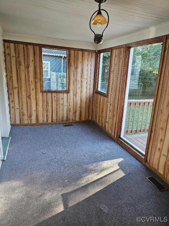 empty room featuring carpet, a wealth of natural light, and wooden walls