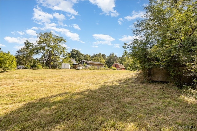 view of yard with a storage shed