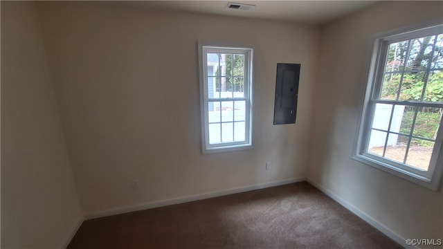 spare room featuring electric panel and carpet floors