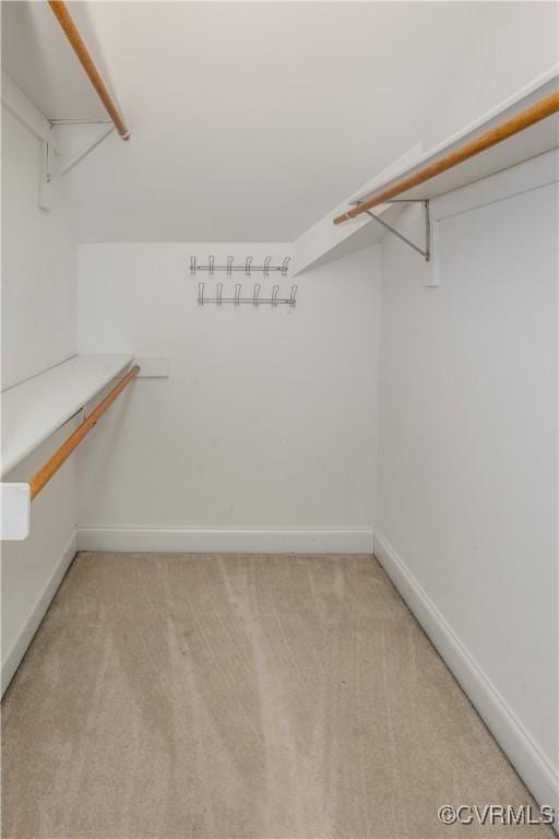 walk in closet with light carpet