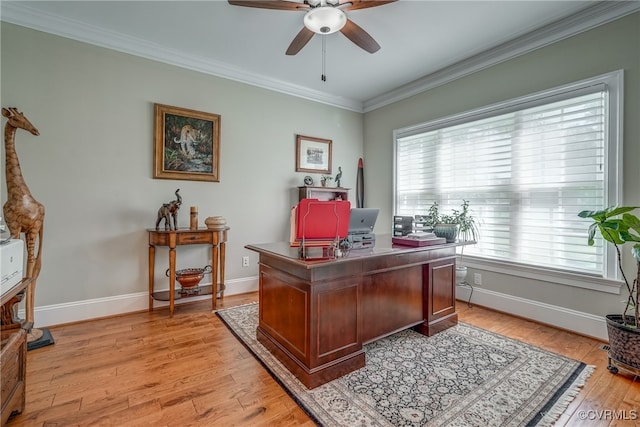 home office featuring ornamental molding, light wood-type flooring, a wealth of natural light, and ceiling fan