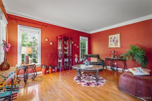 living room featuring crown molding and light hardwood / wood-style flooring