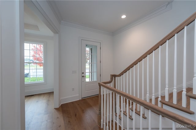 foyer entrance featuring hardwood / wood-style floors, a healthy amount of sunlight, and ornamental molding