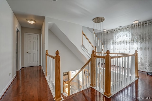 hallway featuring a wealth of natural light and dark wood-type flooring