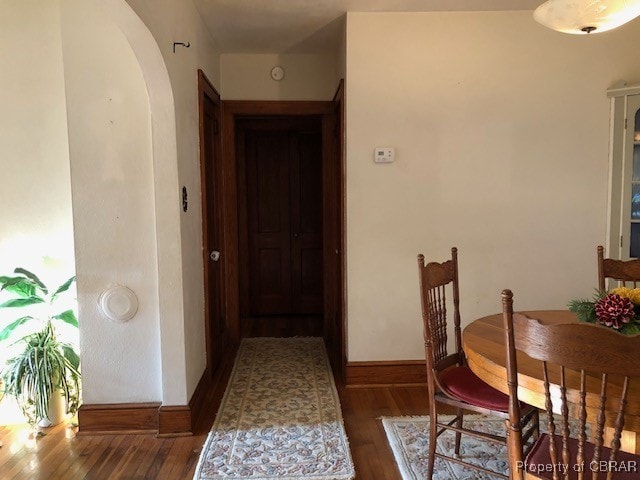 hallway featuring dark hardwood / wood-style flooring