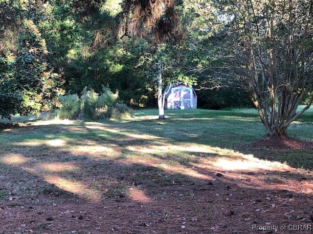 view of yard featuring a shed