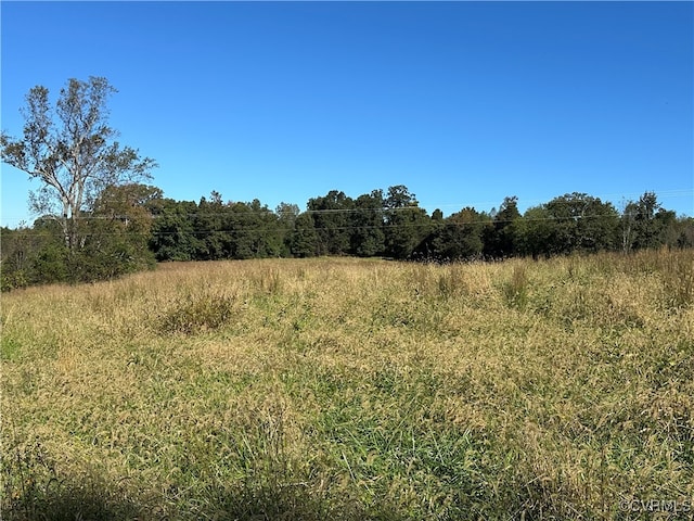 view of local wilderness with a rural view