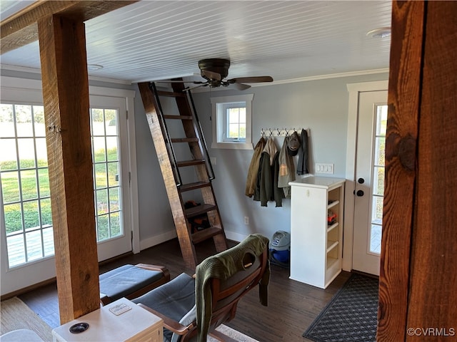 entryway featuring dark wood-type flooring, crown molding, and ceiling fan