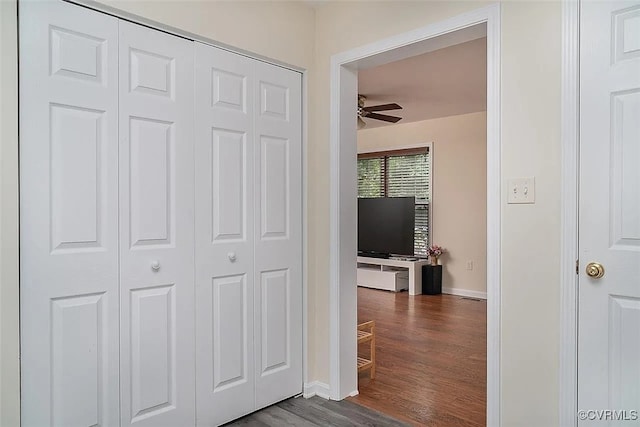 corridor featuring dark hardwood / wood-style flooring