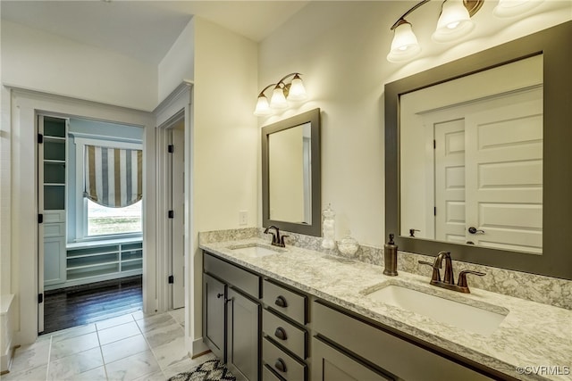 bathroom with hardwood / wood-style flooring and vanity